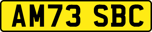 AM73SBC