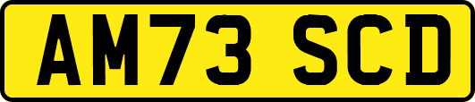 AM73SCD