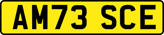 AM73SCE