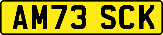 AM73SCK