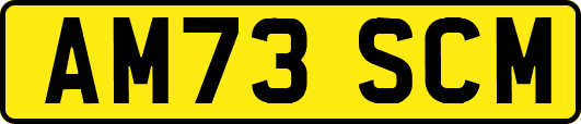 AM73SCM