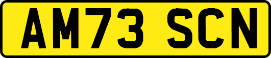 AM73SCN