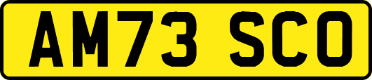 AM73SCO