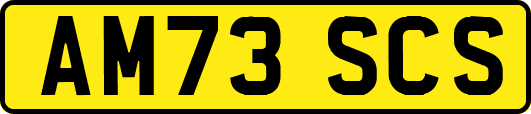 AM73SCS