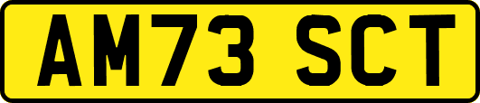 AM73SCT