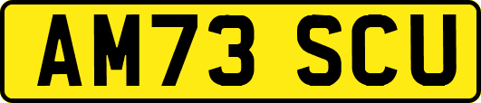 AM73SCU