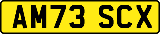 AM73SCX