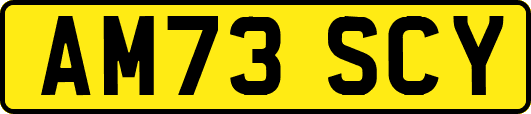 AM73SCY