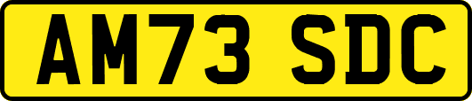 AM73SDC
