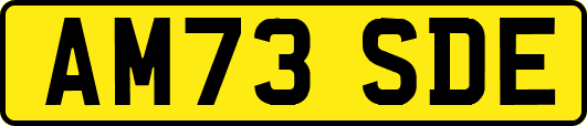 AM73SDE