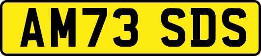 AM73SDS