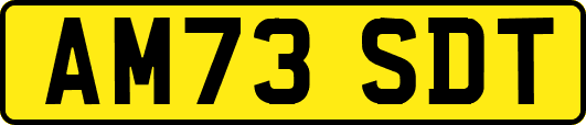 AM73SDT