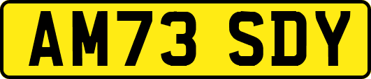 AM73SDY