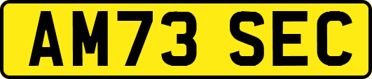 AM73SEC