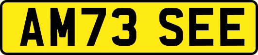 AM73SEE