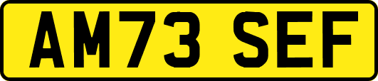 AM73SEF
