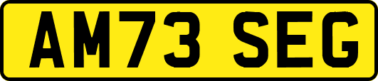 AM73SEG