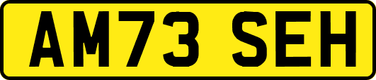 AM73SEH