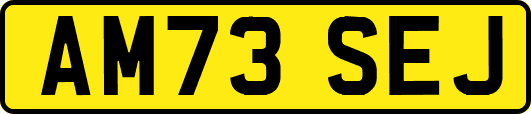 AM73SEJ