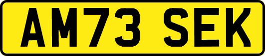 AM73SEK