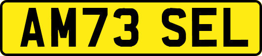 AM73SEL