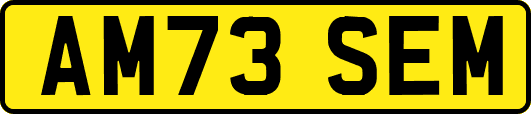 AM73SEM