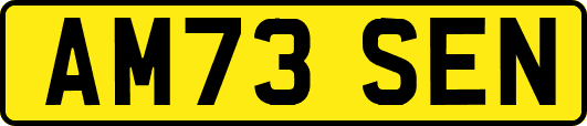 AM73SEN