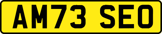 AM73SEO