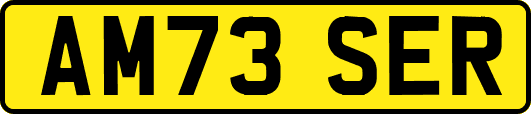 AM73SER