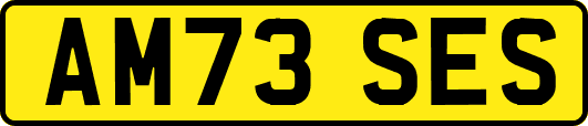 AM73SES