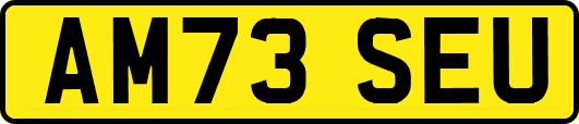 AM73SEU