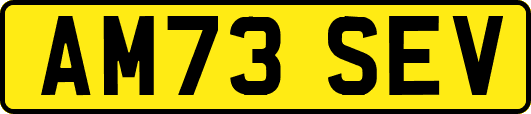 AM73SEV