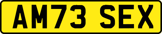 AM73SEX