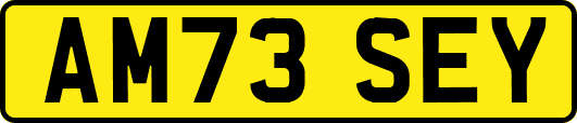 AM73SEY