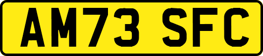 AM73SFC