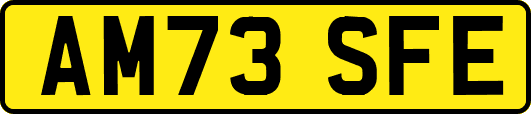 AM73SFE