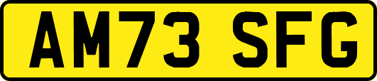 AM73SFG