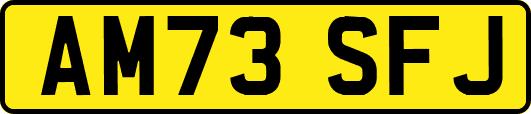 AM73SFJ