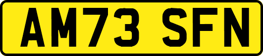 AM73SFN
