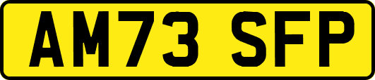 AM73SFP