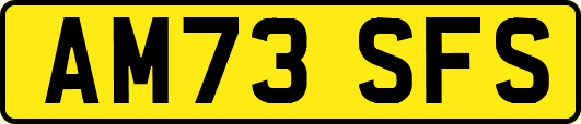 AM73SFS