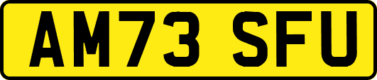 AM73SFU