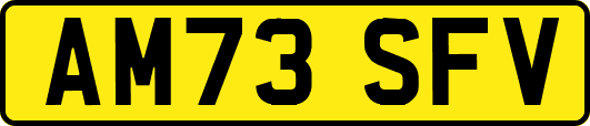 AM73SFV