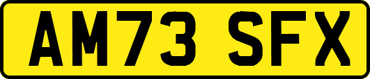 AM73SFX