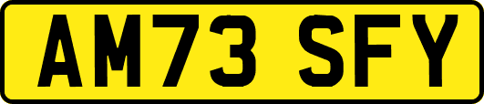 AM73SFY