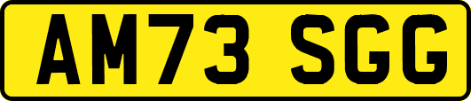 AM73SGG