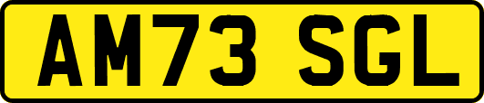 AM73SGL