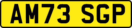 AM73SGP