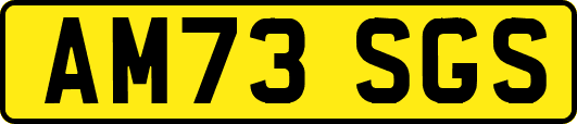 AM73SGS