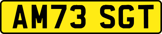 AM73SGT